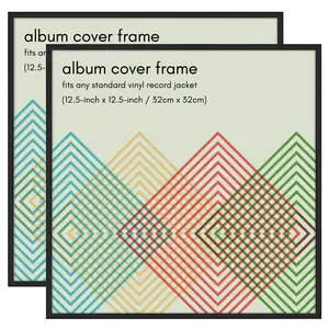 Vinyl Album Frame 2 Pack | Record Cover Display | Protective Wall Decor Frame