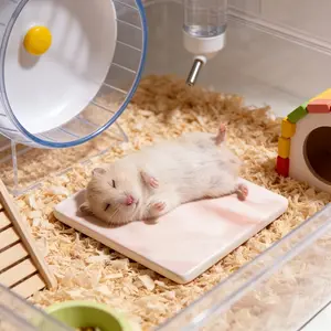 Hamster-Specific Cooling Pad, Chew-Proof and Tip-Resistant, Easy to Clean, Summer Cooling Mat, Small Pet Cage Decoration Accessory, Hamster Cage Habitat