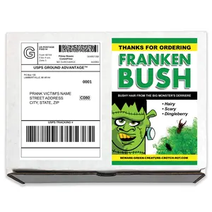 Franken Bush Gag Box Sent Directly to your Recipient - 100% Anonymously!
