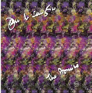 John McLaughlin - Promise  [COMPACT DISC - CD]