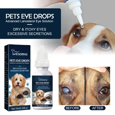 How to Clean Toy Poodle Eye Stains TikTok Shop - Main Image