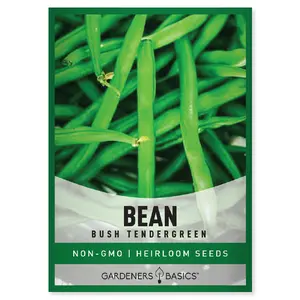 Bush Tendergreen Bean Seeds