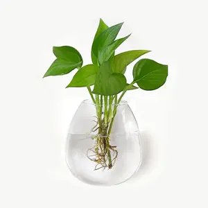 Propagation Stations Wall Hanging Planters, Glass Wall Mounted Oblate Terrarium Vases for Flowers and Hydroponic Indoor Plants, Home Bathroom Office Decor, 4.7" W x 5.1" H