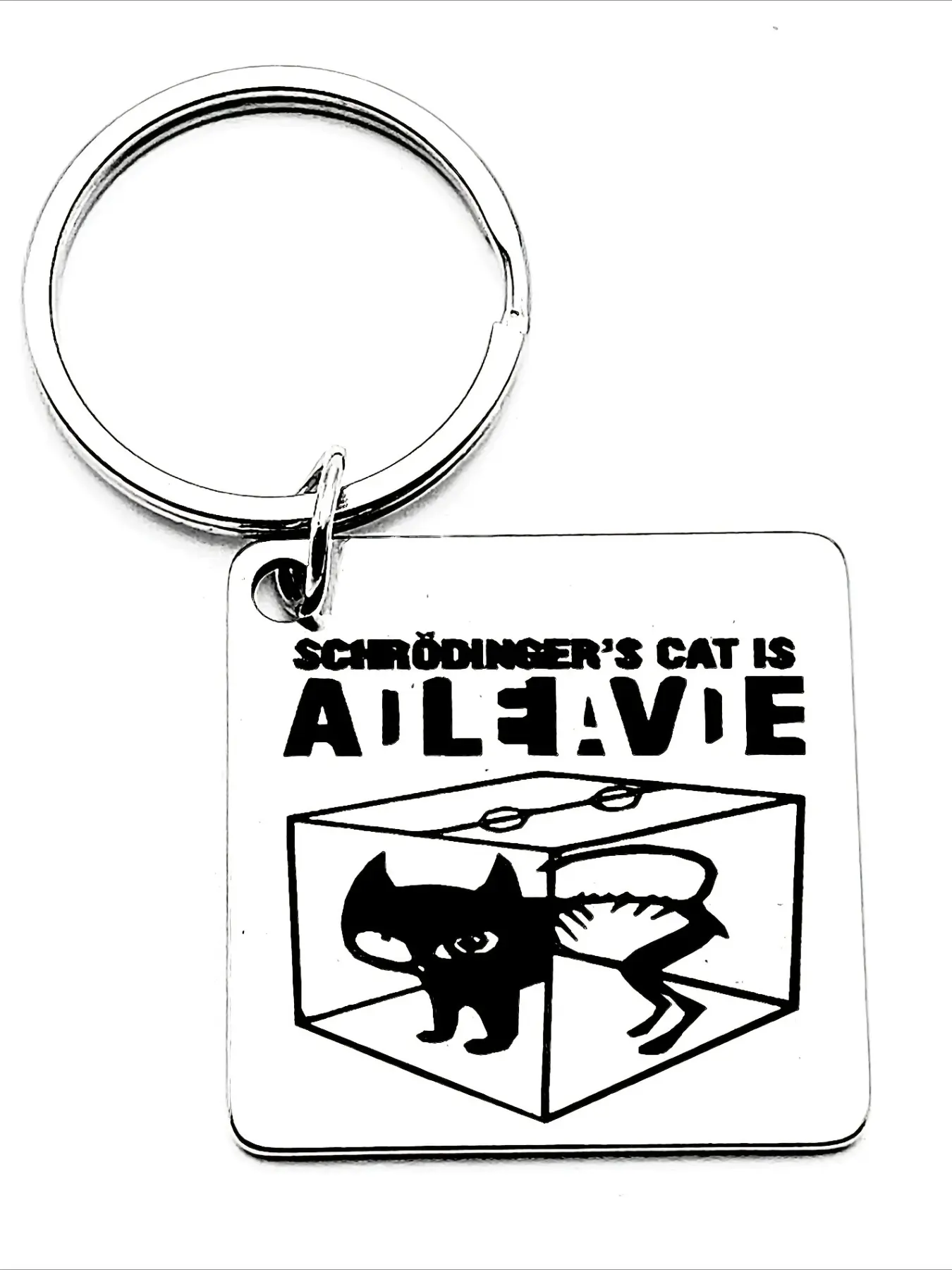 Schrödinger Cat Quantum Mechanics Keychain - Stainless Steel Science Puzzle Gift, Exclusive for Physics Students and Popular Science Lovers, Schrödinger Cat Thought Experiment Design, Fun Educational Accessories for Christmas, Graduation Season,