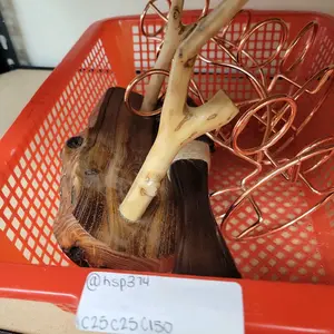 Lychee Gems Crystal-2A7 Intuitive Crystal Bundle - Unique Gift for Any Occasion - Personal Significance & Distinctive Present by Lychee Team - Thoughtful Selection