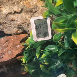 INKBIRD 6-in-1 Bluetooth LCD Wireless Thermo-Hygrometer, Industrial High Accuracy Indoor Monitor with APP Control, Custom Settings, 2-Year Data Export, AA Batteries for Home, Wine Cellar