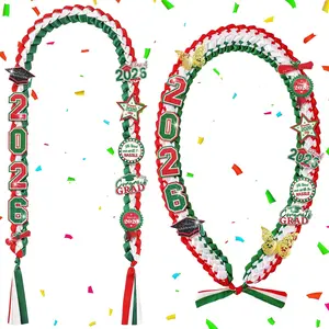 2pcs Graduation Leis Class of 2026 Mexican Money Ribbon Leis Graduation Necklace with Glittery Pins Braided Garland for Grad Gift High School University Ceremony DIY Decor