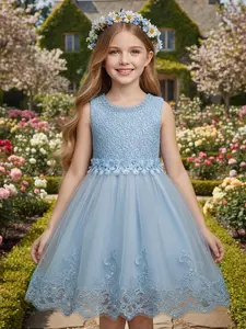 Toddler Girl's Appliques Faux Pearl Decor Contrast Sequin Tulle Fit and Flare Dress, Elegant Bow Back Sleeveless Zipper Back Birthday Dress, Kids Clothes for All Seasons Spring Dresses