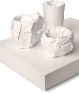 12 * 12 inch Packing Paper for Moving 100 Sheets Protecting Fragile