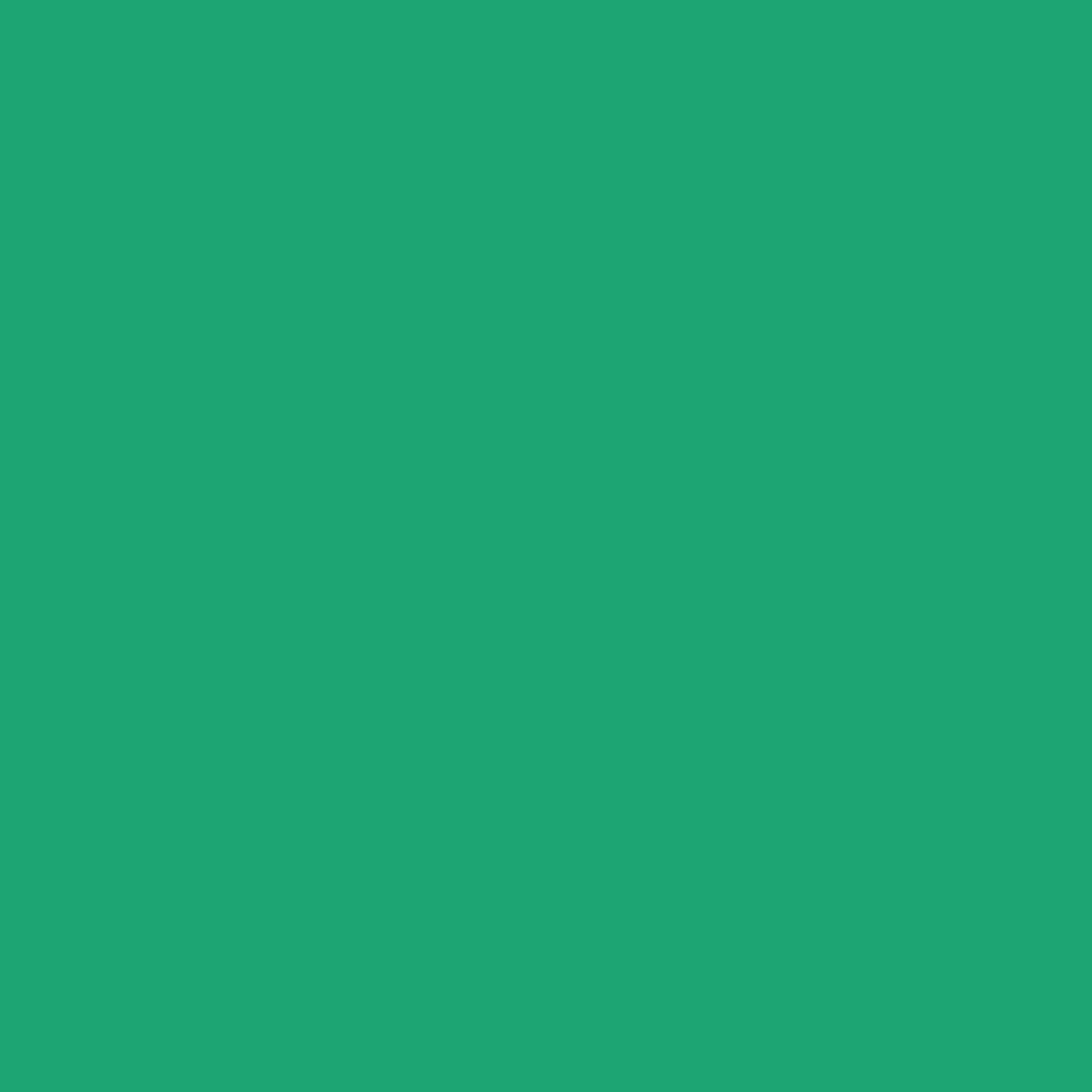 Fabric Riley Blake Shamrock Confetti Cotton by the Quarter Yard C120-SHAMROCK