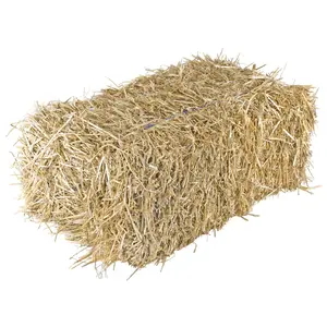 Garden Elements Straw Bale by Shady Creek Farm, Multi-Use for Farm & Home, Large Bale, 36"
