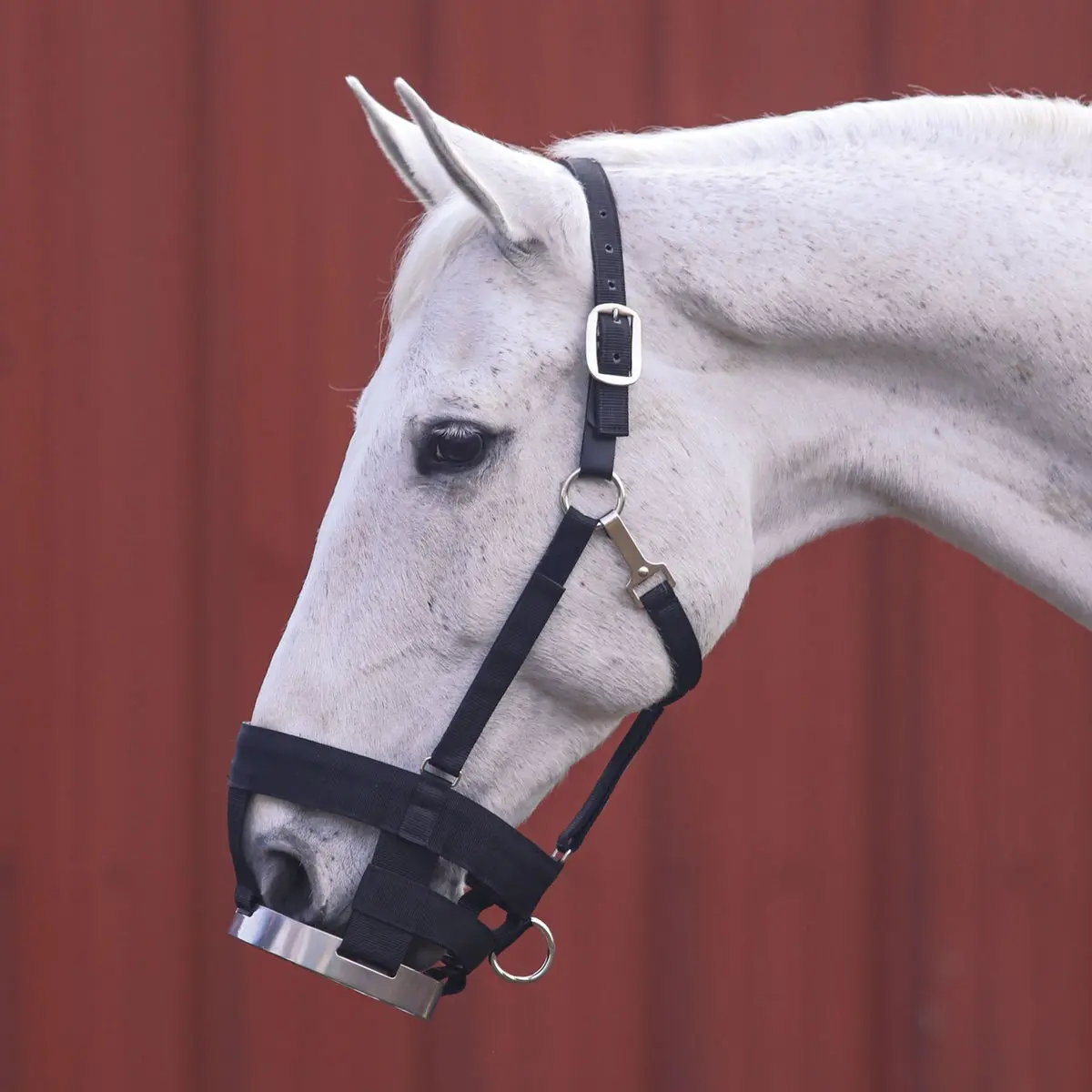 All-in-1 Horse Grazing Muzzle with Breakaway Halter, Open Nostril Design with Stainless Steel Grate, Adjustable Fit and Comfortable Padding, All-In-One