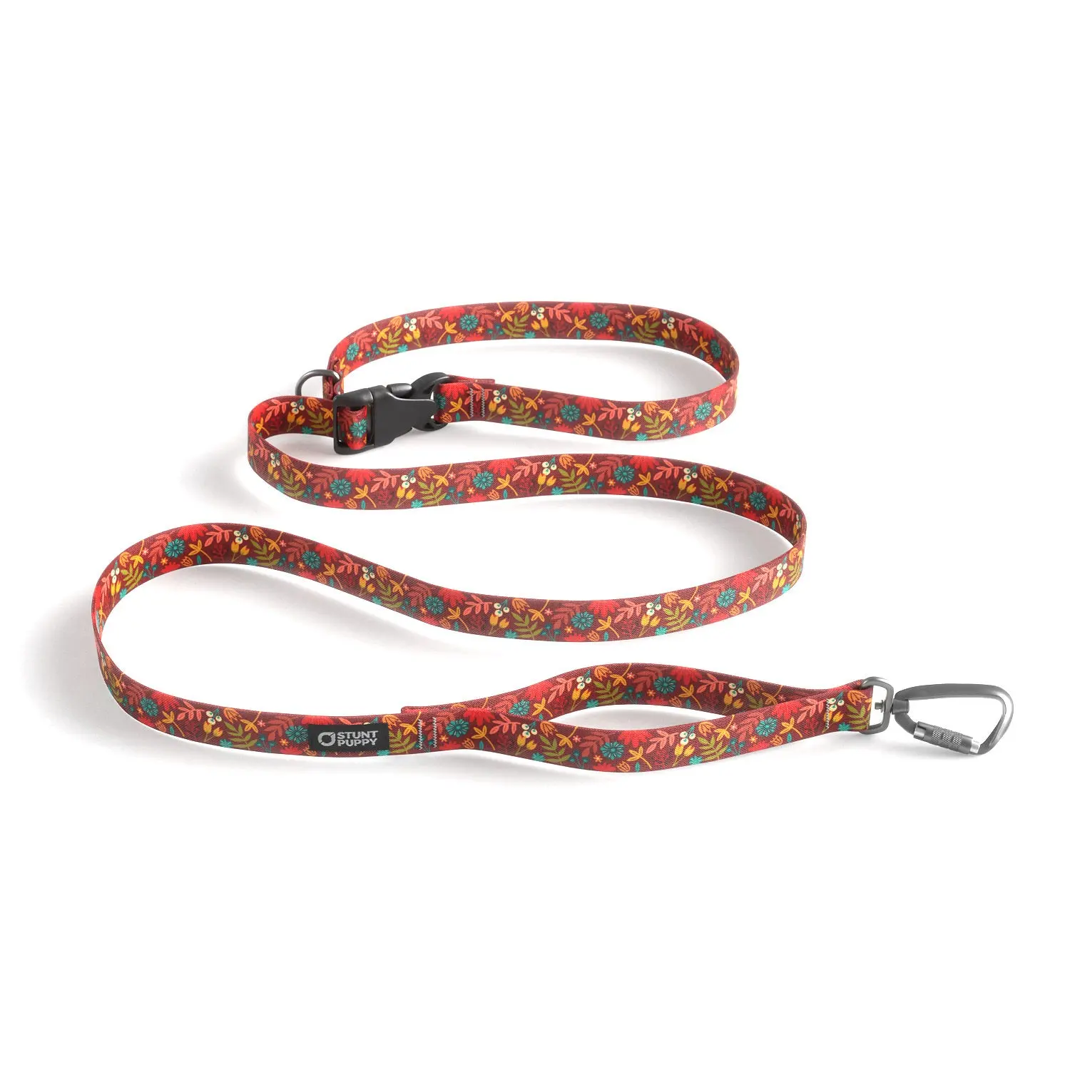 Frolic Harvest Everyday Leash™