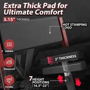 Preacher Curl Bench, Seated Arm Isolated Barbell Dumbbell Bicep Station, Bicep Curl Machine with 2 Bar Holders for Home Gym