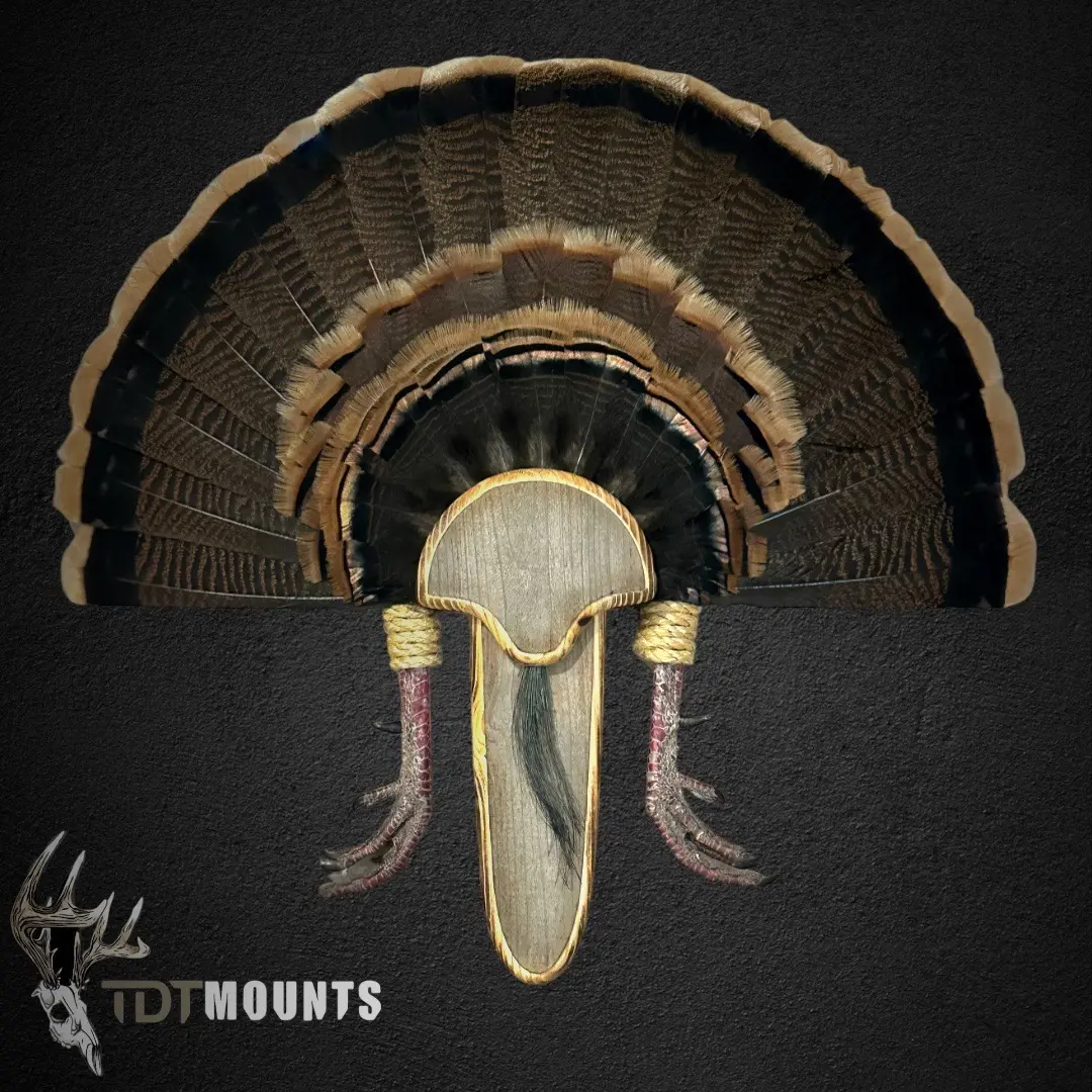 Barnwood Turkey Fan Plaque