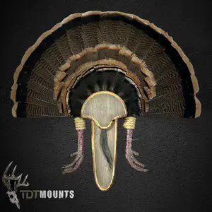 Barnwood Turkey Fan Plaque