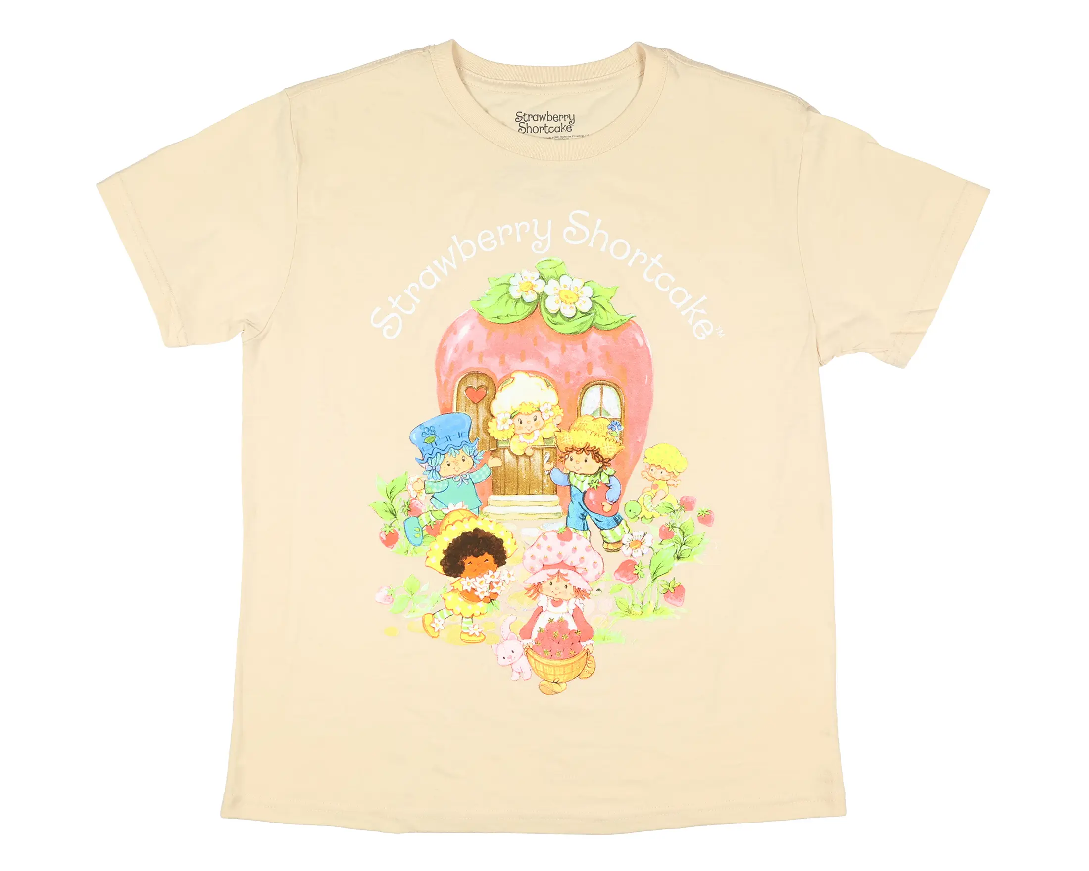Strawberry Shortcake Women's Garden Party and Friends Junior's Short Sleeve Crewneck T-Shirt (X-Small)