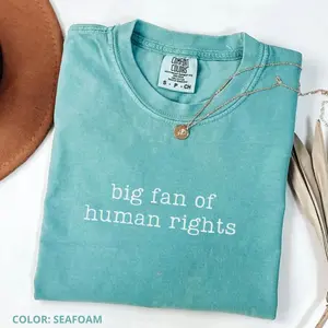 Comfort Colors Big Fan Of Human Rights T-Shirt, Equality, Social Justice, Political Protest Shirt, Women's Summer Outfits, Cotton Fabric Womenswear