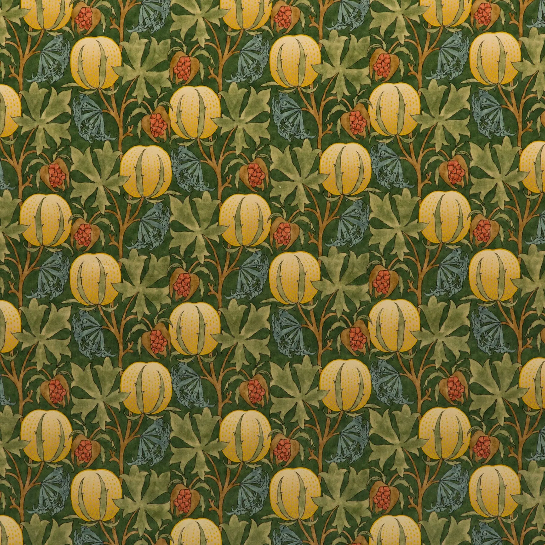 Pumpkins Velvet - Green/Terracotta  By G P & J Baker | Originals V |  Multipurpose Print