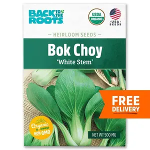 Organic White Stem Bok Choi Seed (1-Pack)