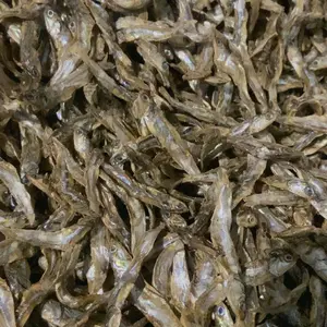 aborbi papabi