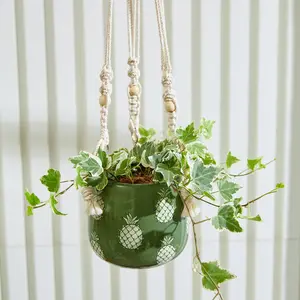 Pinya Hanging Planter with Macrame Plant Hanger