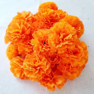 Marigold Flowers Heads Bulk, Silk Artificial Flowers for Diwali,Indian Festival, DIY Marigold Garland Day of The Dead Decorations (Orange)