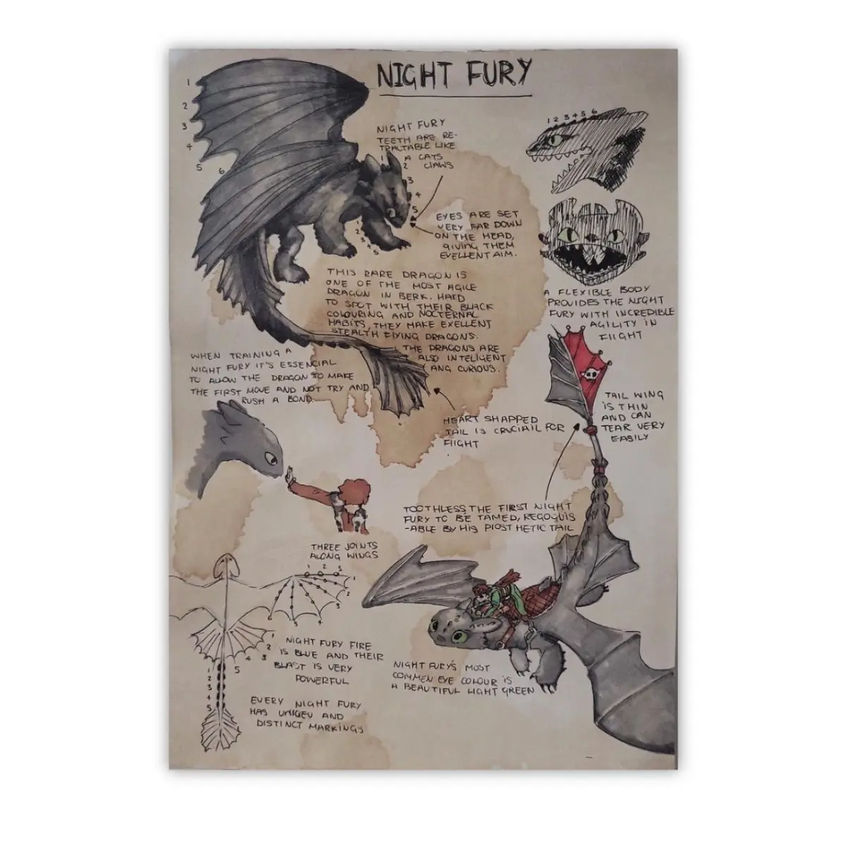 How to Train Your Dragon Poster, Toothless Poster, Vintage Night Fury Dragon Poster, No Frames Included