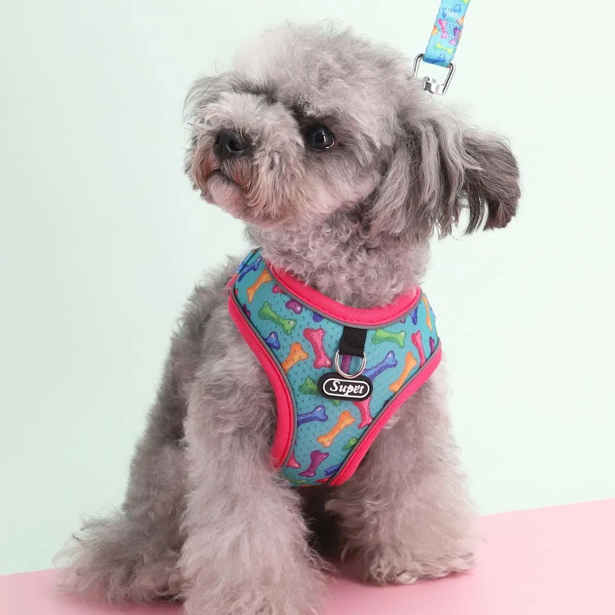 Creative Pattern Design Dog Harness & Leash Set, 2 Counts/set Dog Harness & Adjustable Dog Leash, Pet Walking Supplies