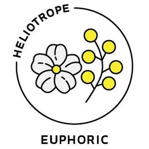 Essential Oil Blend Euphoric (Jasmine Mimosa)