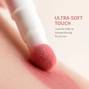 HERORANGE 5-Piece Velvet Matte Mini Lipstick Set - Korean Waterproof Makeup Products, Non-Transfer, Long-Lasting, Moisturizing, Creamy, Lip Care, Moisturize, Hydrating, for Students, Ideal for Dating, All Skin Types,summerwins