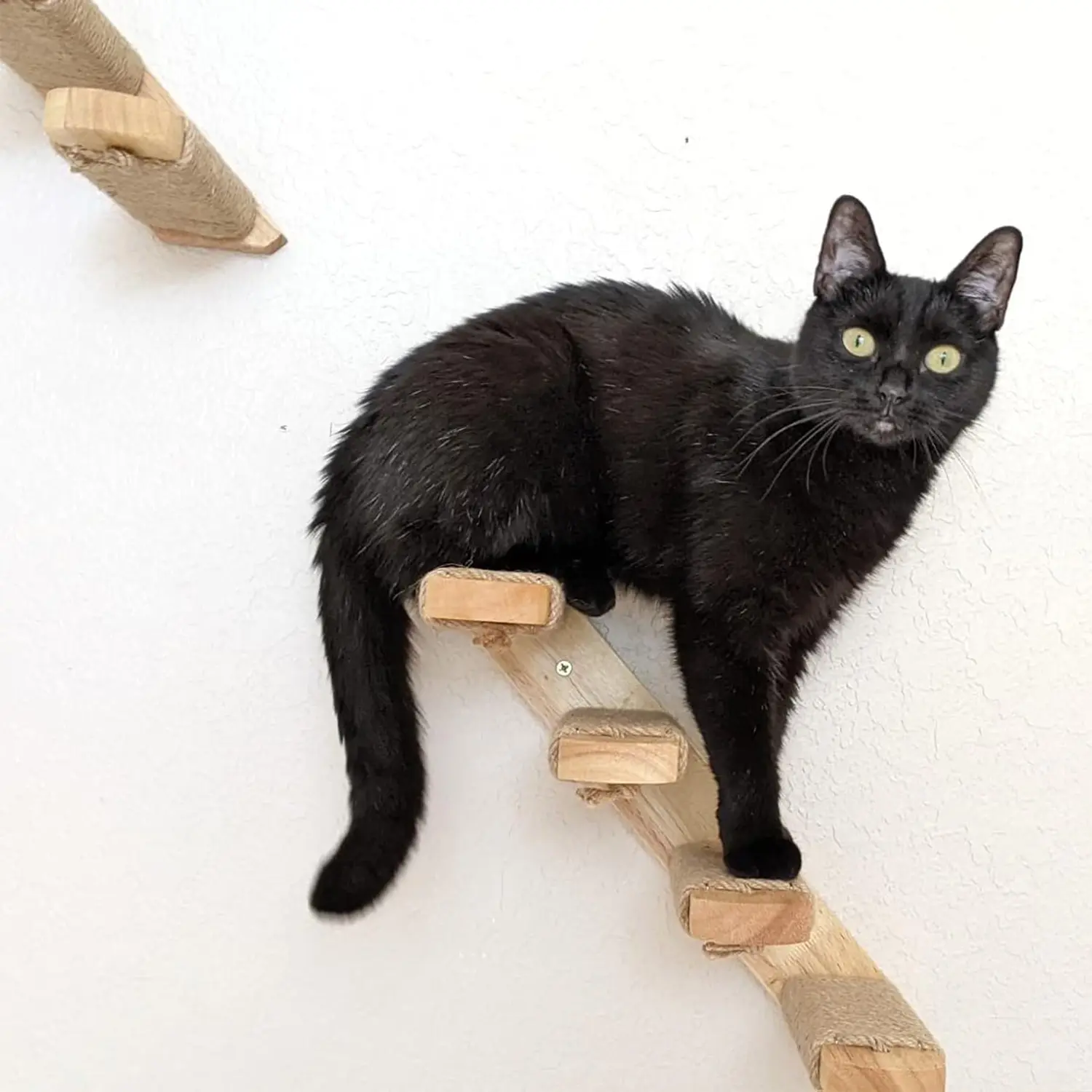 Wood Multi-Level Space-Saving Cat Wall Climbing Shelves, 4-Step Stairway with Sisal Rope Ladder Scratching Post, DIY Kitty Perch Platform for Home Walls Furniture