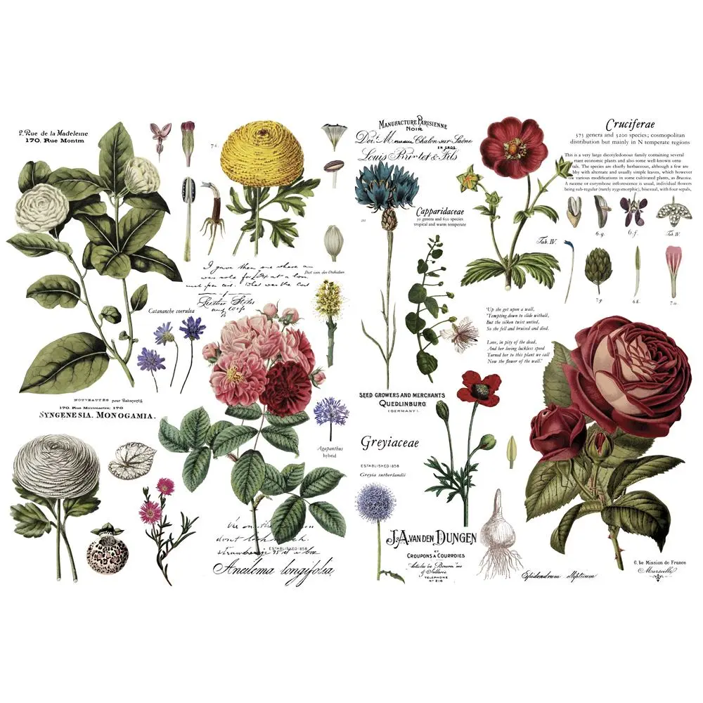 Vintage Botanical Decoration Stickers, Printed Transfer Paper for Office Paper Decor, 48"x35" Total Sheet Size, Cut into 6 Sheets, Decoration Sticker, Craft