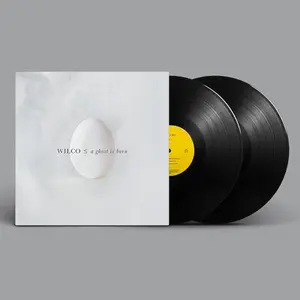 Ghost Is Born - Wilco - Record Album, Vinyl LP