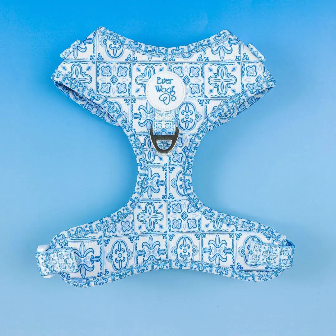 Santorini Adjustable Harness Santorini Adjustable Harness
