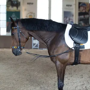 Cowhide elastic side reins, used for training horses, assisting in correcting riding posture, high-end equestrian equipment