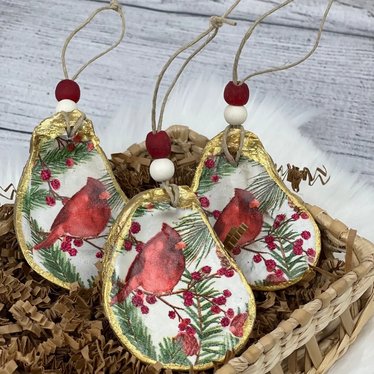 Red Cardinal oyster Shell Ornaments Cartoon
