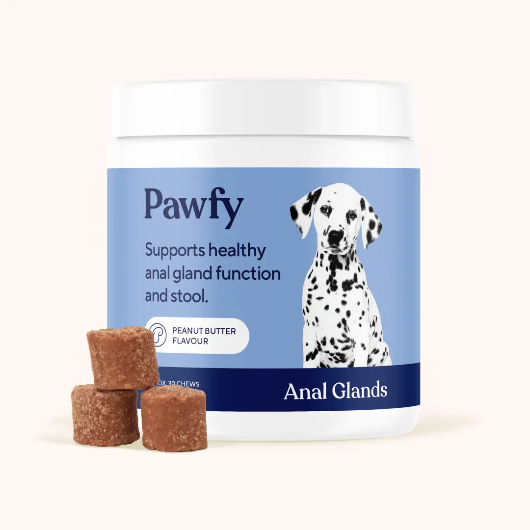 Anal Glands Soft Chews - For Healthier Poops and Digestive System Dog Supplies Pet Products