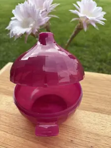 Cebolla color morada / Onion Keeper