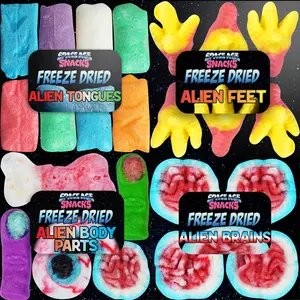 Freeze Dried Candy Crashed UFO 4 Pack with Airheads, Alien Feet, Brains, and Alien Body Parts
