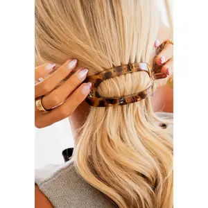 Cutout Rectangle Clip