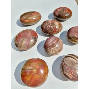Petrified Wood Palm Stone