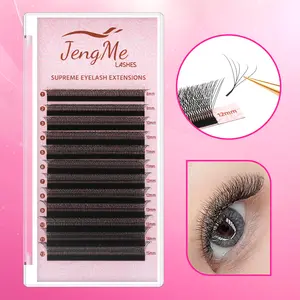 JengMe 5D Clover W Shape Premade Fans 0.07 C/D Curl 8-15mm Mixed Tray for Salon & Home Use Soft Lightweight Flexible Eyelashes for Flawless Makeup Flawless