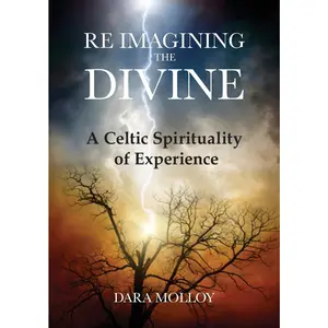 USED-Reimagining The Divine: A Celtic Spirituality of Experience by Molloy, Dara (Paperback)