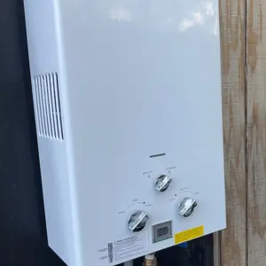 VEVOR Portable Propane Water Heater 5L Tankless with/without  Water Pump for RV Camping