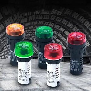 Flashing Sound And Light Buzzer