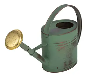 Kings County 1-Gallon Plant Watering Can with Removable Spout