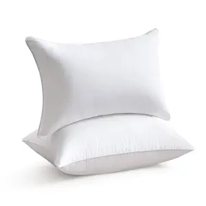 COOKEY 12x20 Pillow Insert Throw Pillows for Couch Set of 2, Rectangular Decorative Pillows 2 Pack for Sofa,White pillow