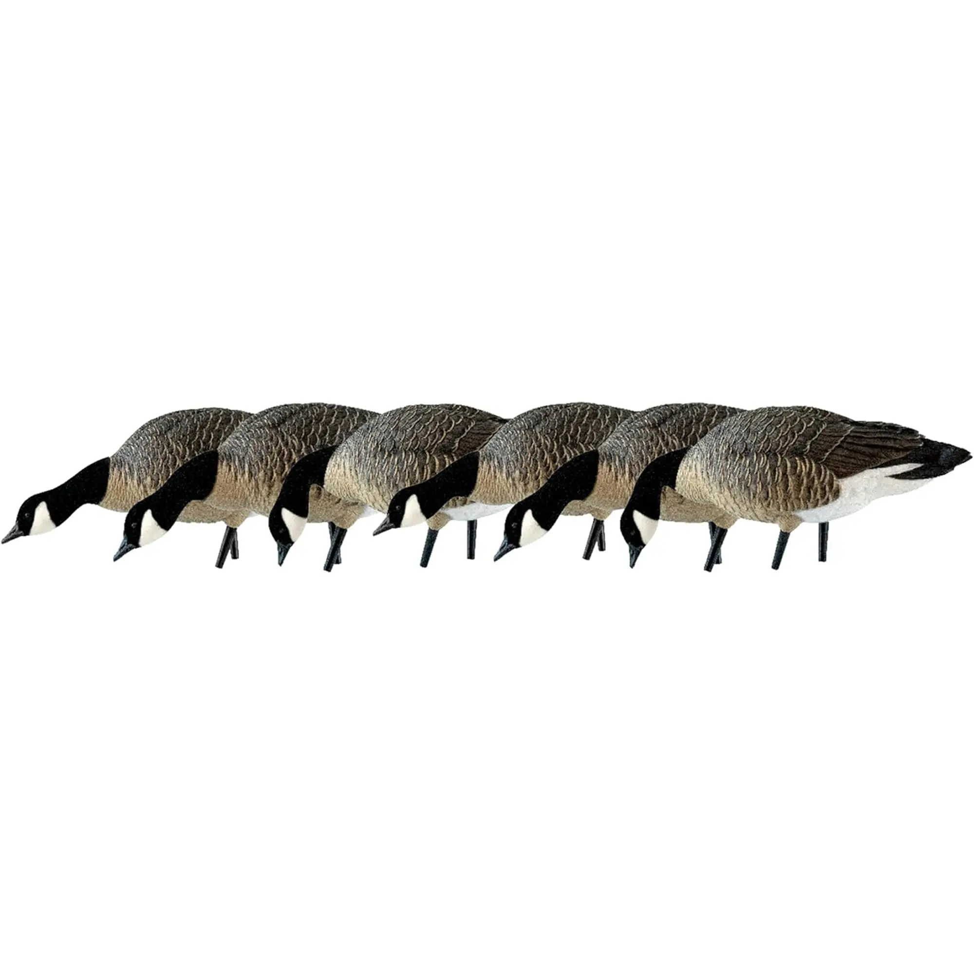 Avian X Oversized Lesser Canada Goose Decoys, 6-Pack Feeder Style with Flocked Heads, Realistic Shape for Flock Blend
