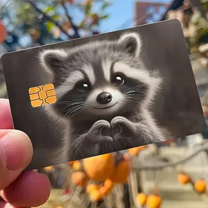 Adorable Gray Raccoon Credit Card Sticker Used for EBT, Transportation, Keys, Credit Cards, Debit Cards, Card Skins, Protect Bank Cards, No Bubbles, High Quality, Suitable for Small Chip Cards